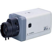 IP Camera - DH-IPC-HF3300P-N(-W)